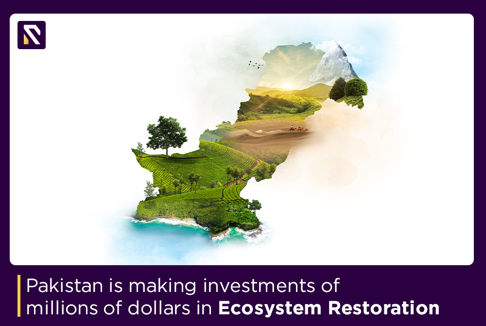 Pakistan is making investments of millions of dollars in ecosystem restoration