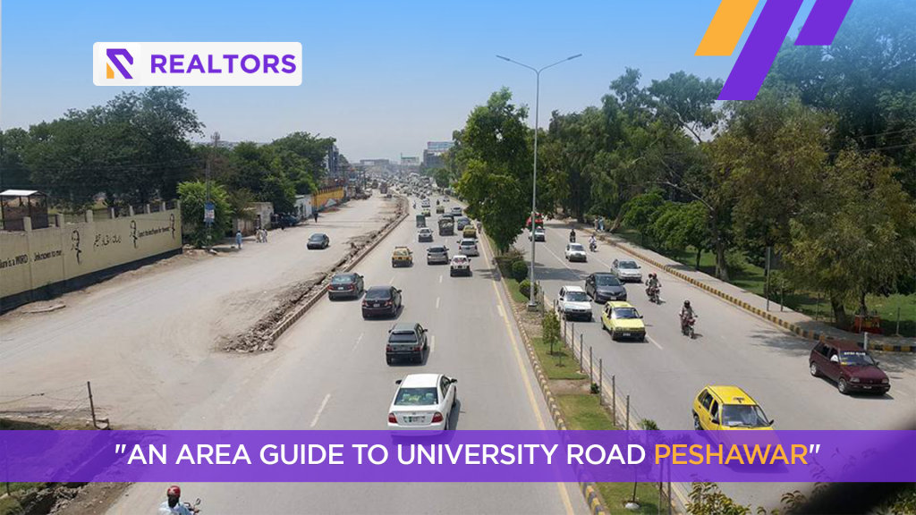 Area Guide to University Road