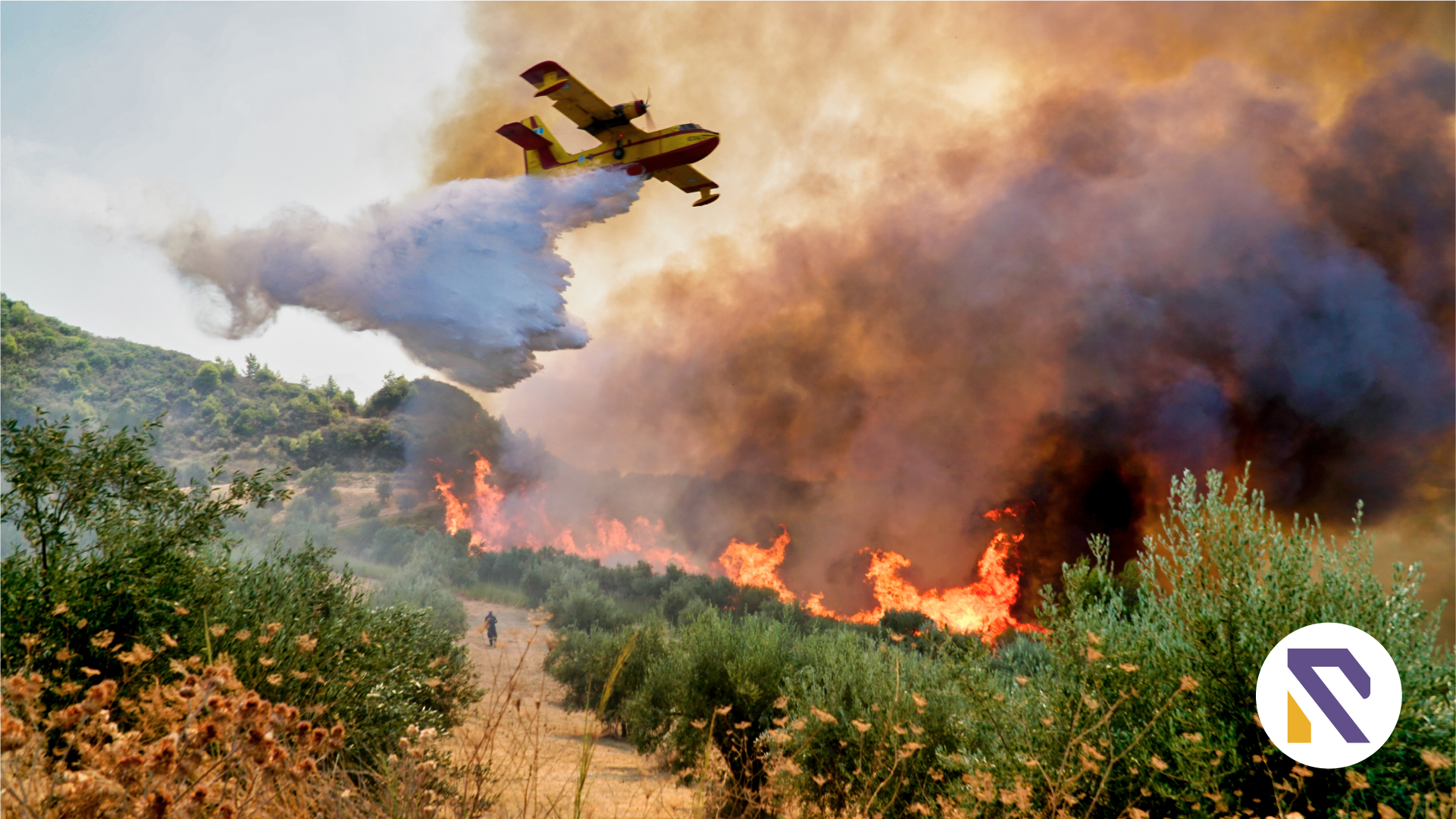 District civic administration taking measures to prevent forest fires in Margalla Hills National Park-realtorspk