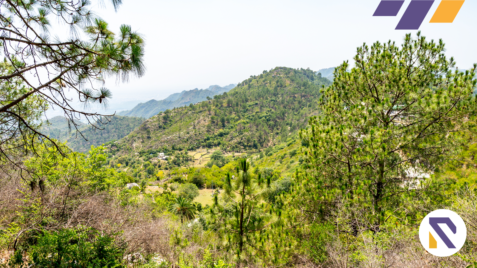 CDA demarcates the limits of the Margalla Hills National Park.
