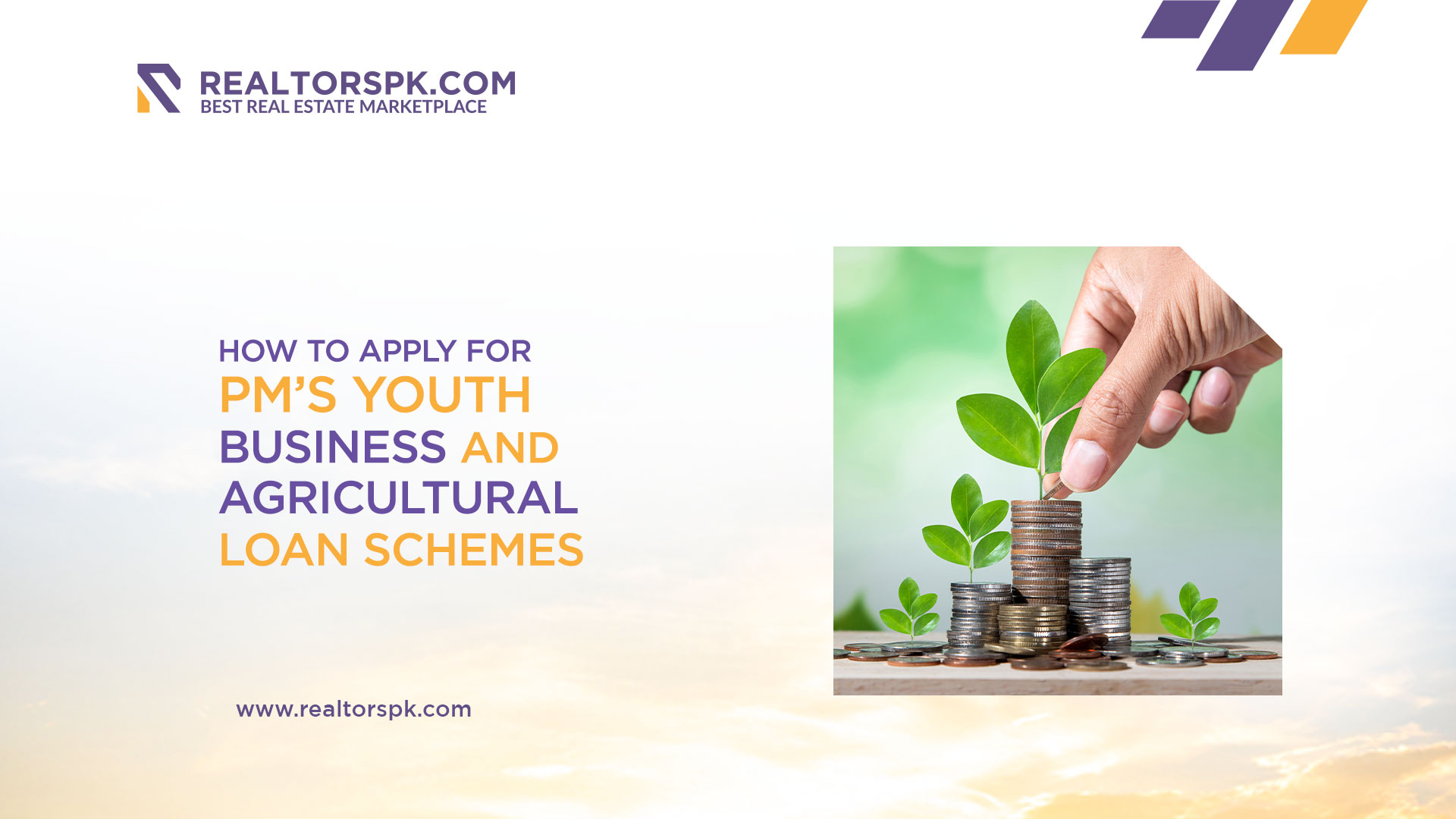 How to Apply for PM Youth Business and Agricultural Loan Schemes-Realtorspk